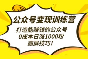 （4585期）公众号变现训练营（第3期）打造能赚钱的公众号，0成本日涨1000粉，霸屏技巧[中创网]