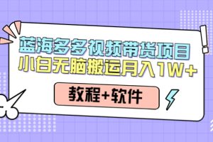 （4343期）人人都能操作的蓝海多多视频带货项目 小白无脑搬运月入10000+（教程+软件）[中创网]