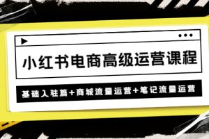 （4638期）小红书电商高级运营课程：基础入驻篇+商城流量运营+笔记流量运营[中创网]