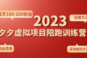 （4641期）《拼夕夕虚拟项目陪跑训练营1.0》单店每天100-200收益 独家选品思路和运营[中创网]