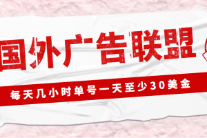 （4662期）外面收费1980最新国外LEAD广告联盟搬砖项目，单号一天至少30美金(详细教程)[中创网]