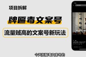 （4676期）2023抖音快手毒文案新玩法，牌匾文案号，起号快易变现[中创网]