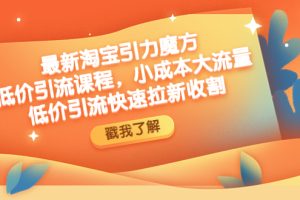 （4708期）最新淘宝引力魔方低价引流实操：小成本大流量，低价引流快速拉新收割[中创网]