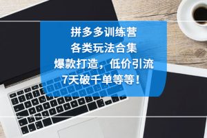 （4693期）拼多多训练营：各玩法合集，爆款打造，低价引流，7天破千单等等！[中创网]