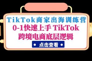 （4795期）TikTok商家出海训练营：0-1快速上手 TikTok跨境电商底层逻辑(无中创水印)[中创网]