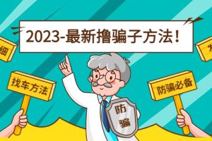 （4798期）最新反撸骗子方法日赚200+【16个找车方法+发车渠道】视频+文档(2月16更新)[中创网]