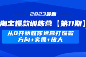 （4784期）淘宝爆款训练营【第11期】 从0开始教你运营打爆款，方向+实操+放大[中创网]