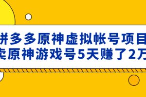 （4860期）外面卖2980的拼多多原神虚拟帐号项目：卖原神游戏号5天赚了2万[中创网]