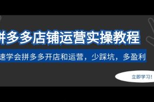 （4883期）拼多多店铺运营实操教程：快速学会拼多多开店和运营，少踩坑，多盈利[中创网]