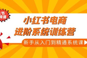 （4952期）小红书电商进阶系统训练营：新手从入门到精通系统课（21节视频课）[中创网]