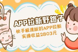 （4946期）APP拉新野路子：快手极速版的APP拉新赚，实操收益2803元[中创网]