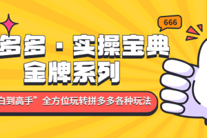 （4934期）拼多多·实操宝典：金牌系列“小白到高手”带你全方位玩转拼多多各种玩法[中创网]