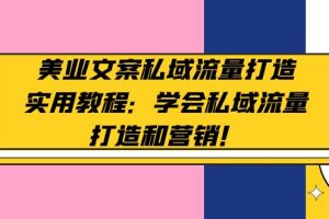 （4987期）美业文案私域流量打造实用教程：学会私域流量打造和营销！[中创网]