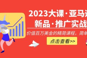 （5005期）2023大课·亚马逊新品·推广实战：价值百万美金的精简课程，简单粗暴！[中创网]