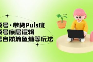 （5027期）视频号·带货Puls班，视频号底层逻辑，起号自然流鱼塘等玩法[中创网]