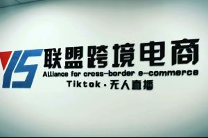 （5016期）Tiktok无人直播，不出镜不剪辑不拍摄不发货无售后的跨境短视频躺赚玩法[中创网]