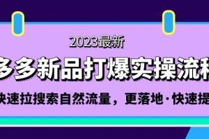 （5036期）拼多多-新品打爆实操流程：轻松快速拉搜索自然流量，更落地·快速提升![中创网]