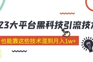 （5138期）价值4899的2023大平台黑科技引流技术 小白也能靠这些技术混到月入1w+29节课[中创网]