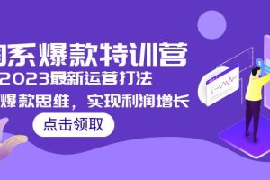 （5121期）2023淘系爆款特训营，2023最新运营打法，学习爆款思维，实现利润增长[中创网]