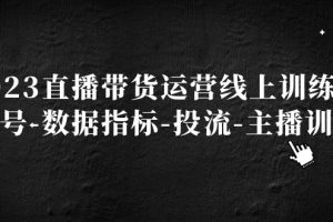 （5122期）2023直播带货运营线上训练营，起号-数据指标-投流-主播训练[中创网]