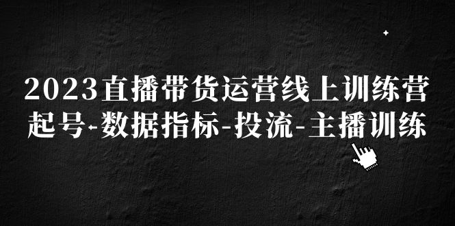 （5122期）2023直播带货运营线上训练营，起号-数据指标-投流-主播训练