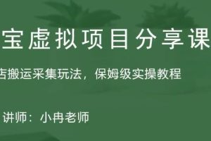 （5090期）淘宝虚拟整店搬运采集玩法分享课：整店搬运采集玩法，保姆级实操教程[中创网]