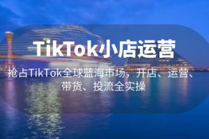 （5200期）TikTok小店运营 抢占TikTok全球蓝海市场，开店、运营、带货、投流全实操[中创网]