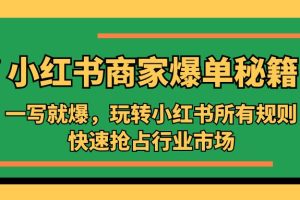 （5220期）小红书·商家爆单秘籍：一写就爆，玩转小红书所有规则，快速抢占行业市场[中创网]