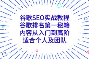 （5261期）谷歌SEO实战教程：谷歌排名第一秘籍，内容从入门到高阶，适合个人及团队[中创网]