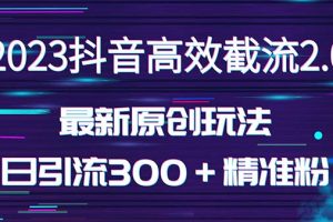 （5293期）日引300＋创业粉，独家抖音高效截流2.0玩法（价值1280）[中创网]