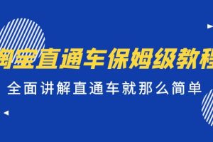 （5328期）淘宝直通车保姆级教程，全面讲解直通车就那么简单！[中创网]