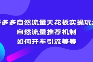 （5327期）拼多多自然流量天花板实操玩法：自然流量推荐机制，如何开车引流等等[中创网]