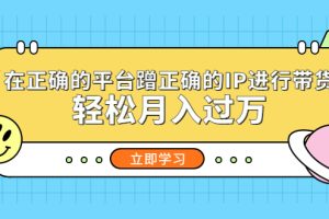 （5325期）在正确的平台蹭正确的IP进行带货，轻松月入过万[中创网]