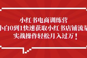 （5309期）小红书电商训练营，小白0到1快速获取小红书店铺流量，实战操作月入过万[中创网]