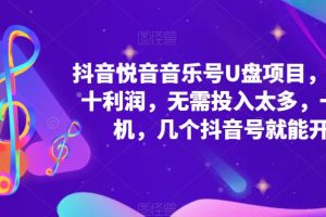 （5393期）抖音音乐号U盘项目 一单几十利润 无需投入太多 一台手机 几个抖音号就开始[中创网]