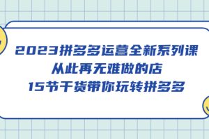 （5414期）2023拼多多运营全新系列课，从此再无难做的店，15节干货带你玩转拼多多[中创网]