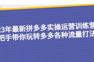 （5435期）23年最新拼多多实操运营训练营：手把手带你玩转多多各种流量打法！[中创网]