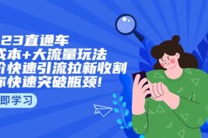 （5471期）2023直通小成本+大流量玩法，低价快速引流拉新收割，让你快速突破瓶颈![中创网]