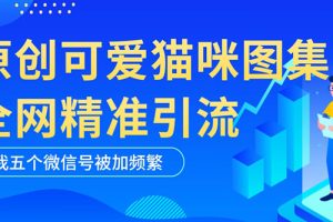 （5498期）黑科技纯原创可爱猫咪图片，全网精准引流，实操5个VX号被加频繁[中创网]