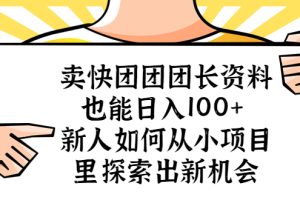 （5535期）卖快团团团长资料也能日入100+ 新人如何从小项目里探索出新机会[中创网]