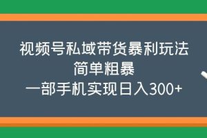 （5544期）视频号私域带货暴利玩法，简单粗暴，一部手机实现日入300+[中创网]