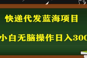 （5573期）2023最新蓝海快递代发项目，小白零成本照抄也能日入300+（附开户渠道）[中创网]