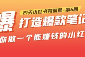 （5598期）21天小红书特训营-第6期，打造爆款笔记，带你做一个能赚钱的小红书！[中创网]