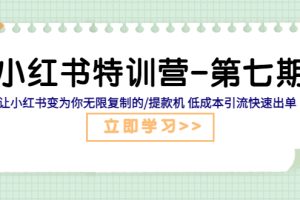 （5608期）小红书特训营-第七期 让小红书变为你无限复制的/提款机 低成本引流快速出单[中创网]