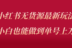 （5646期）小红书无货源最新螺旋起号玩法，电商小白也能做到单号上万（收费3980）[中创网]