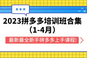 （5684期）2023拼多多培训班合集（1-4月），最新最全新手拼多多上手课程![中创网]