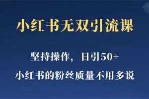 （5674期）小红书无双课一天引50+女粉，不用做视频发视频，小白也很容易上手拿到结果[中创网]