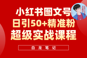 （5710期）小红书图文号日引50+精准流量，超级实战的小红书引流课，非常适合新手[中创网]