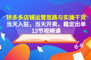 （5695期）拼多多店铺运营思路与实操干货，当天入驻，当天开卖，稳定出单（13节课）[中创网]