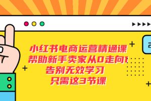 （5764期）小红书电商·运营精通课，帮助新手卖家从0走向1 告别无效学习（7节视频课）[中创网]